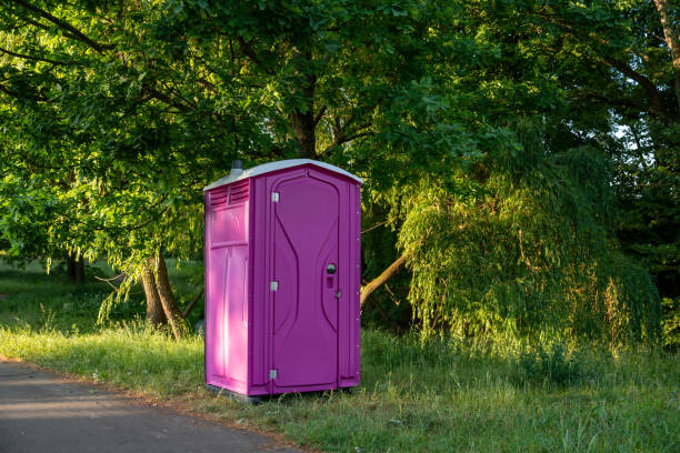 Best Luxury portable toilet rental  in Robbinsdale, MN